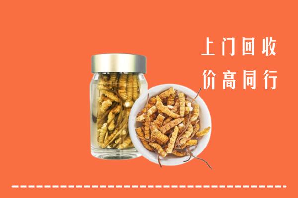 收购行情：乐山回收冬虫夏草
